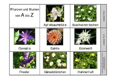 Leporello-Pflanzen-A-Z-1-Seite-1.pdf